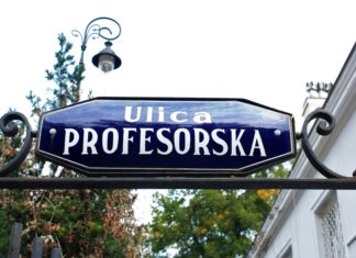 ulica profesorska